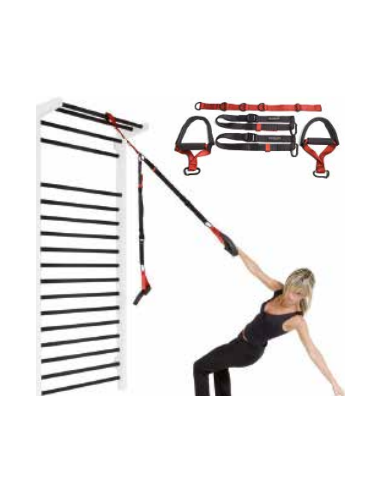 TF SUSPENSIÓN TRAINER