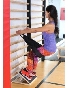 PLATAFORMA INCLINADA