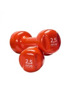 PAREJA DE MANCUERNAS DE PLÁSTICO 2,5 kg
