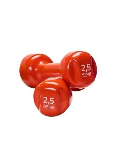 PAREJA DE MANCUERNAS DE PLÁSTICO 2,5 kg