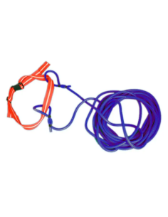 CINTURÓN DE RESISTENCIA NATACIÓN 2