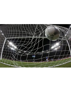 JUEGO REDES 1ª F. 7