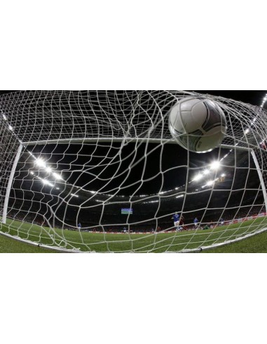 JUEGO REDES 1ª F. 7