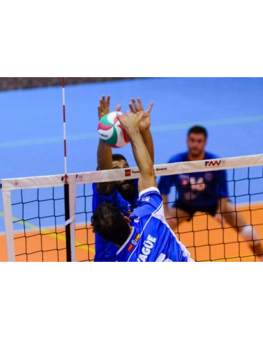 RED VOLEIBOL COMPETICIÓN LÍNEA ORO NEGRO
