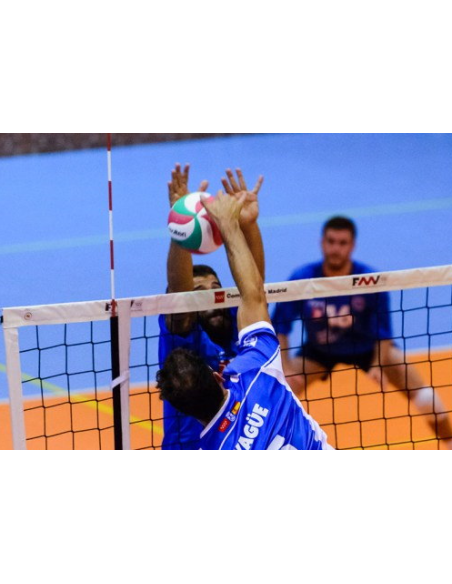 RED VOLEIBOL COMPETICIÓN LÍNEA ORO NEGRO