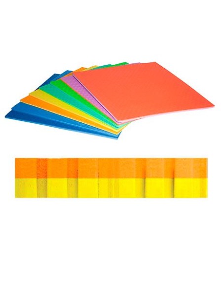 PUZLE ESCOLAR BICOLOR