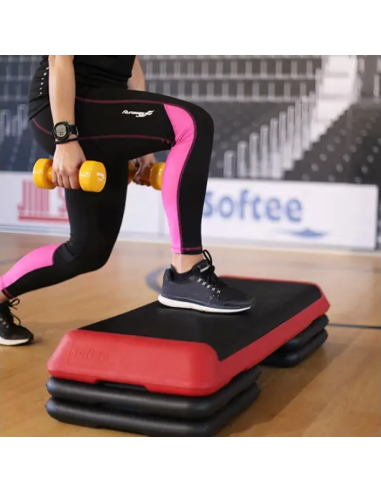 STEP PROFESIONAL DE 4 BASES