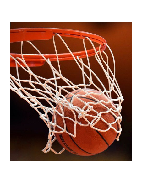 JUEGO DE REDES OFICIAL XXV OLIMPIADAS