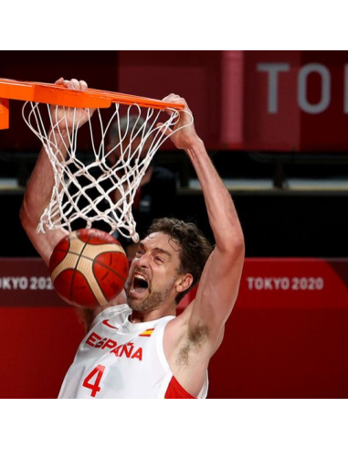 JUEGO DE REDES OFICIAL XXV OLIMPIADAS