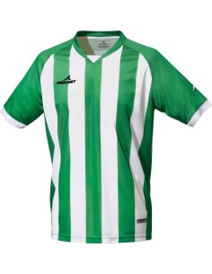 CAMISETA CHAMPIONS 2