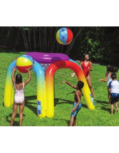 JUEGO ACUÁTICO PELOTAS Y AROS