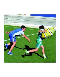 BALÓN GIGANTE (PECES) 2