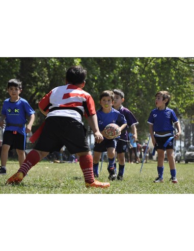 CINTURÓN DE PLACAJE