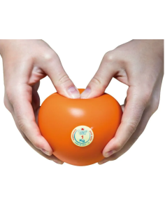 PELOTA LANZAMIENTO BLANDA 2