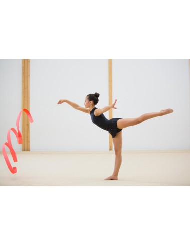 VARILLA + CINTA RÍTMICA PRO