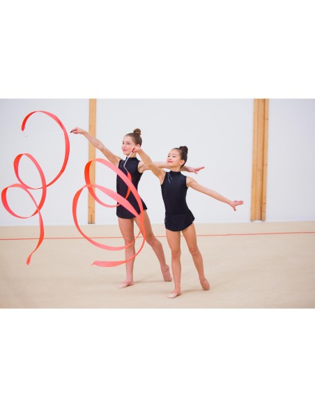 VARILLA + CINTA RÍTMICA PRO